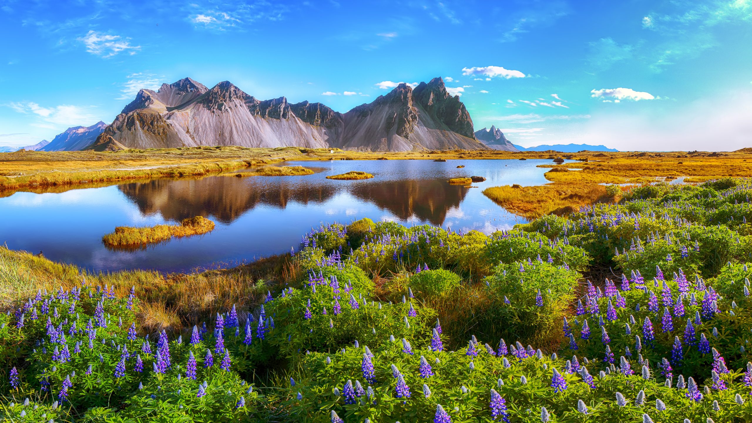 Interesting Facts about Iceland: History, Culture, Travel