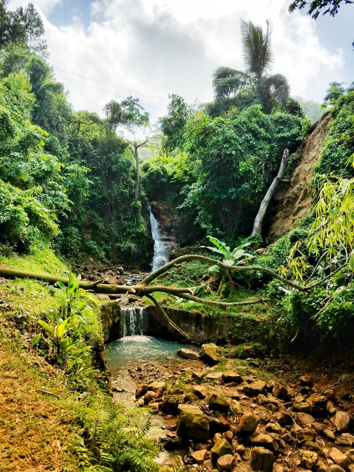 The sulfur springs park area featuring a waterfall, natural pool, and many trees, the author says this is a must see during your one day in Soufriere