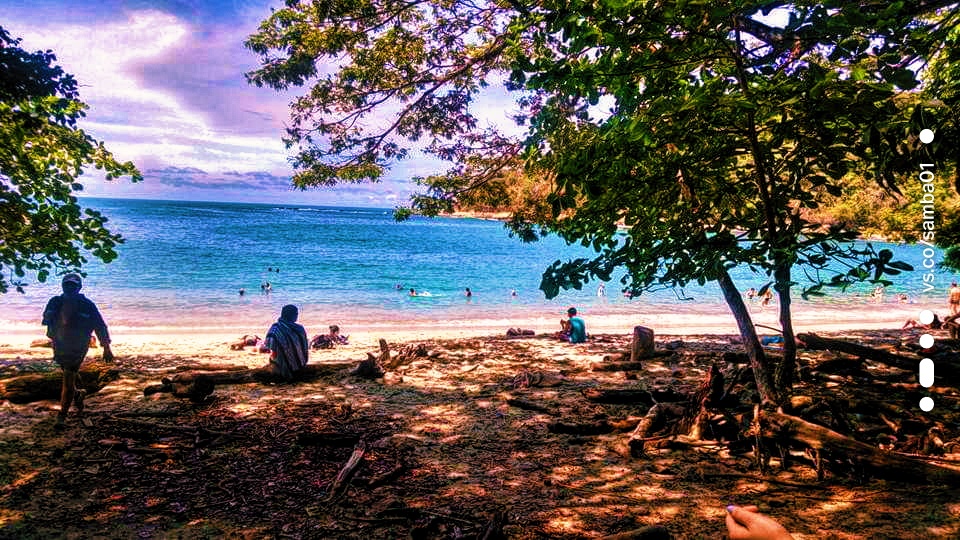 A group of people gathered on the beach 