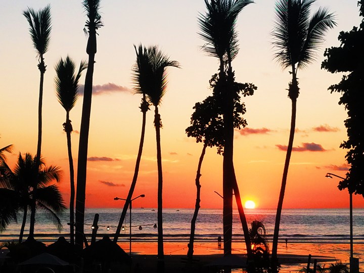 The silohuette of palm trees against a sunset on the beach