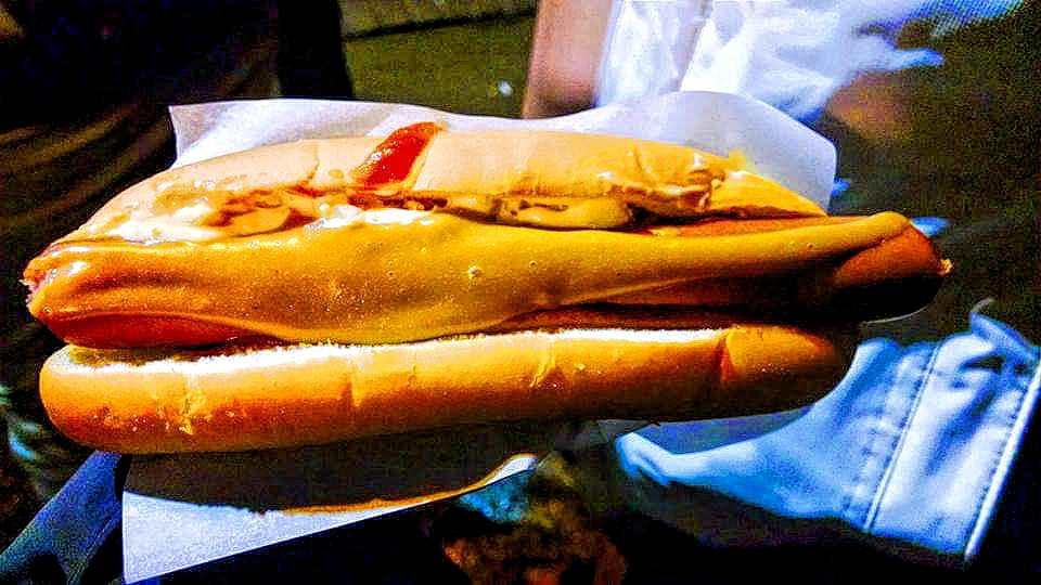 An Icelandic hot dog
