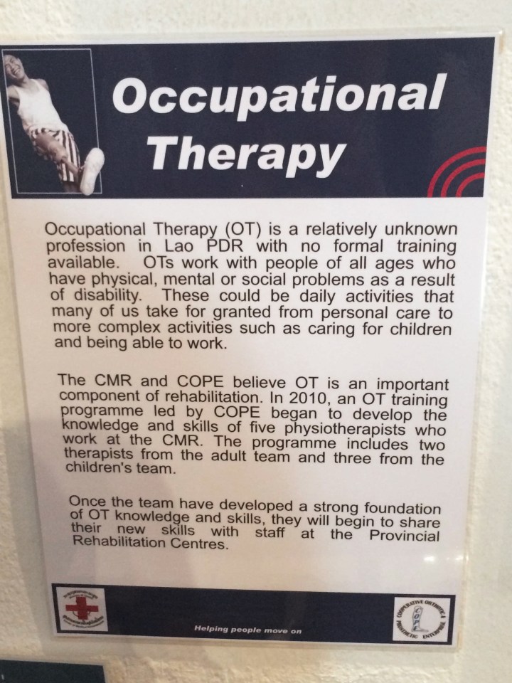 A document titled "Occupational Therapy" with text describing what the treatment is from the COPE Center