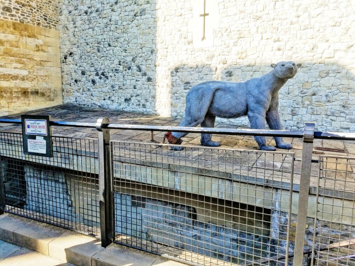 Tower of London Polar Bear