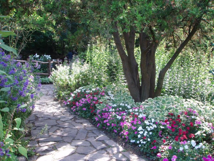 A Shakespeare garden 