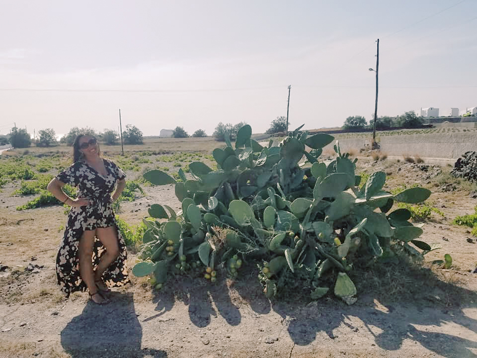 A woman standing in a vineyard in Santorini