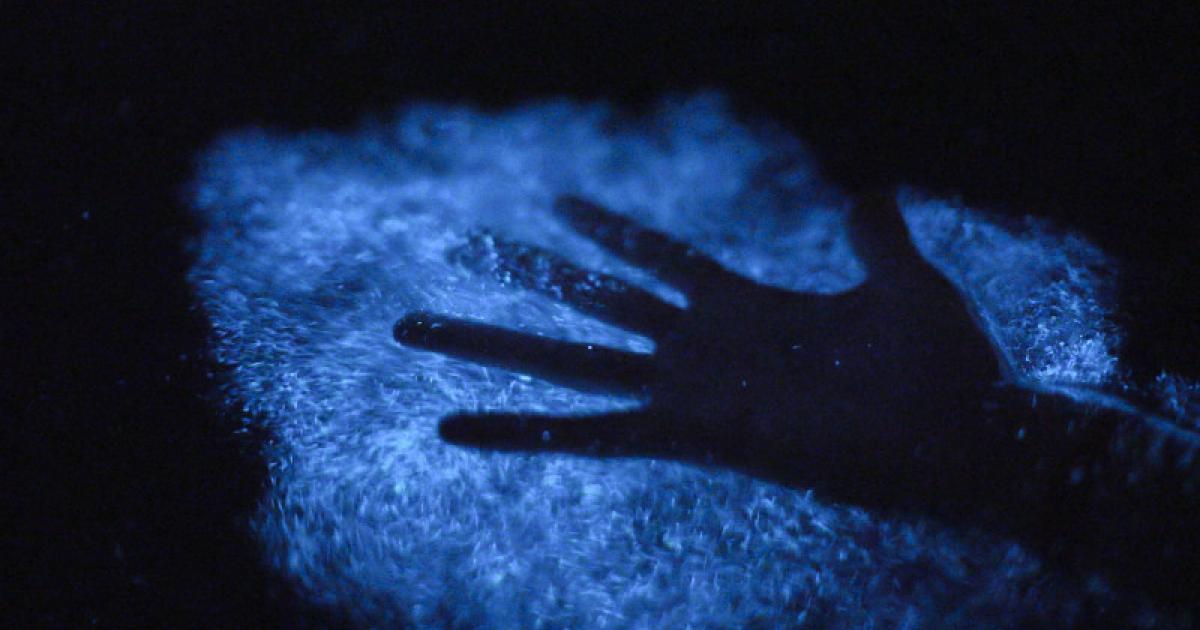 A hand illuminated in bio-luminescent water