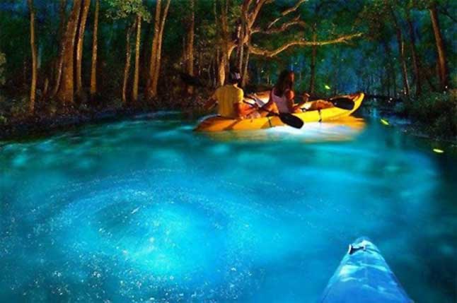 Kayaking through the bio-luminescent bay of Puerto Rico