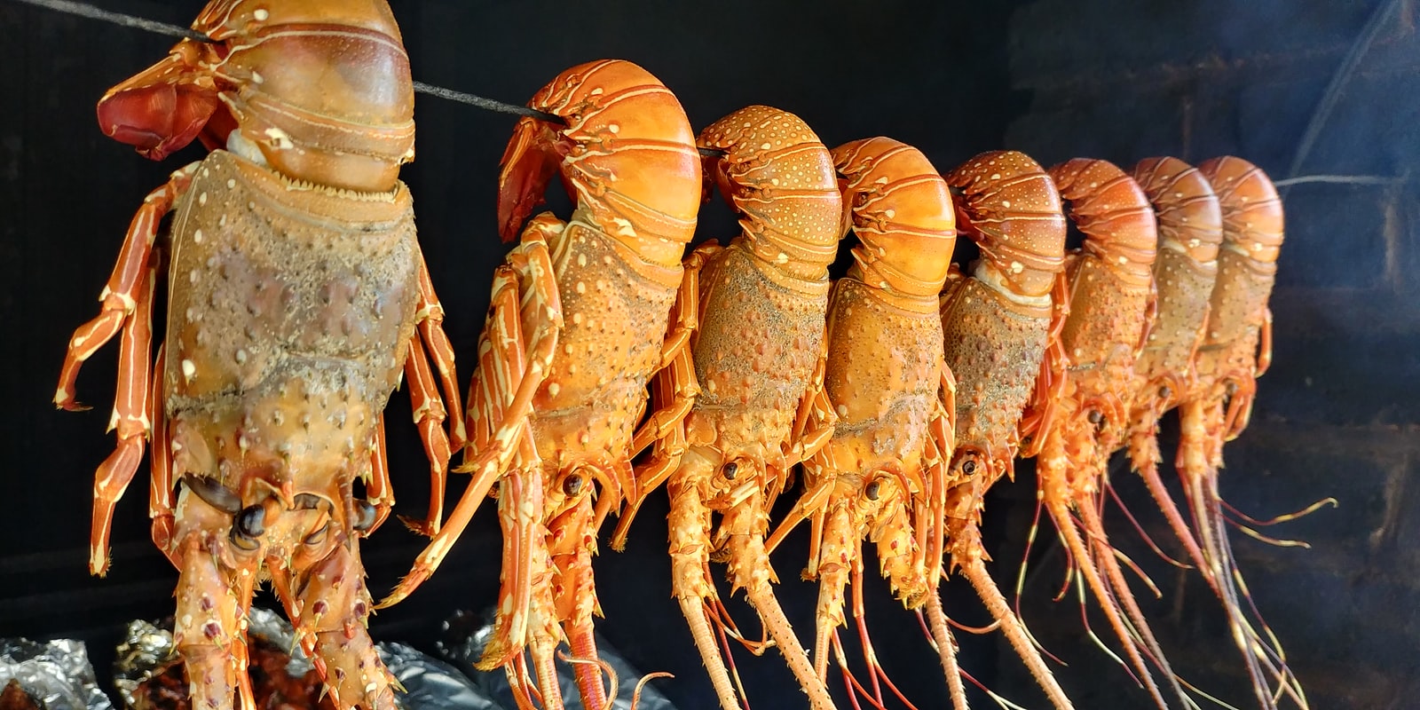 Lobsters hanging on a rack