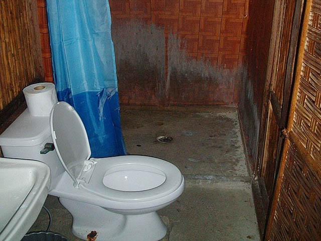 A toilet and shower stall
