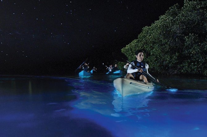 Kayakers paddling through the bio-luminescent bay in Puerto Rico