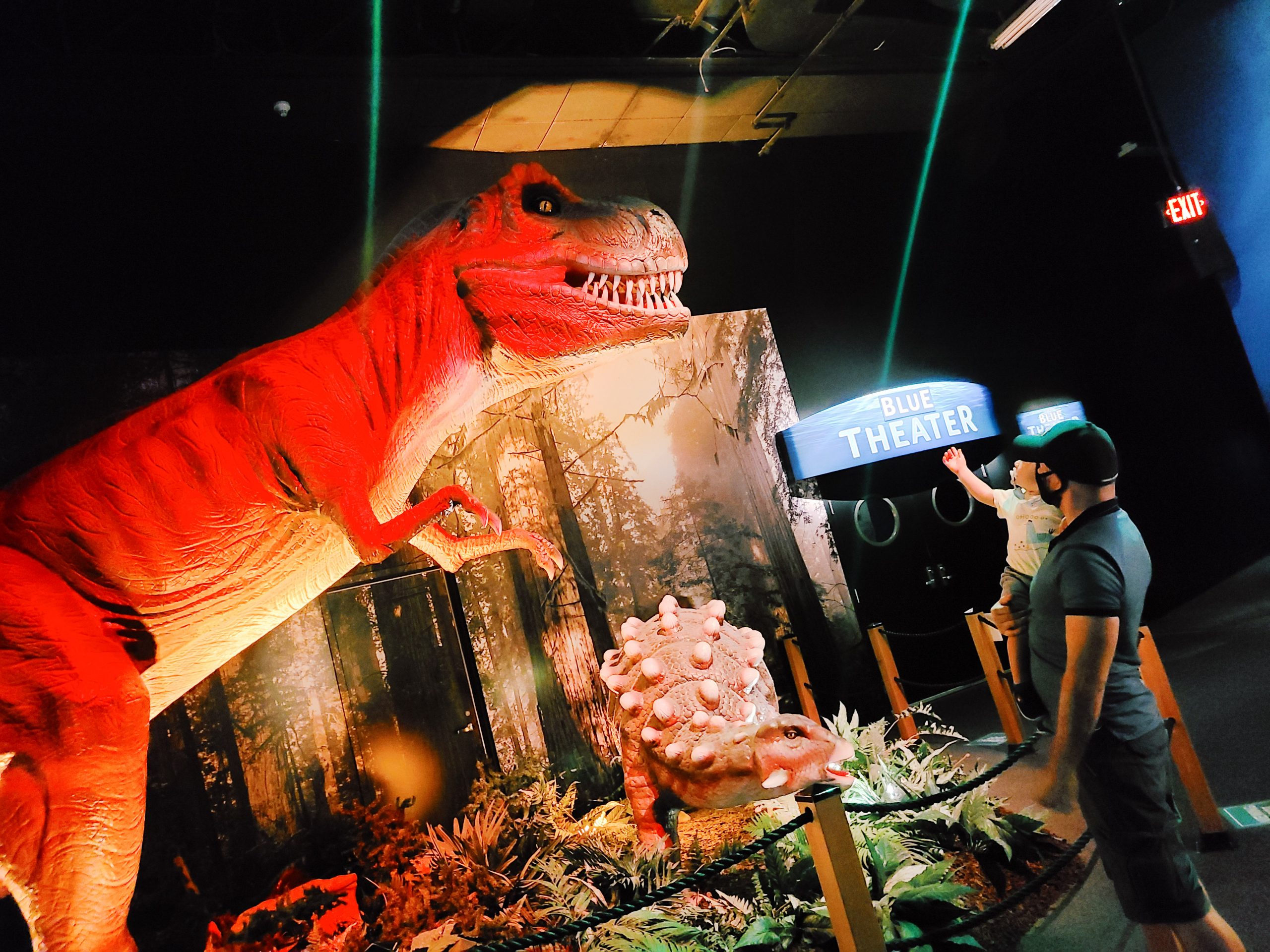 A man and a child standing in front of a T-rex display
