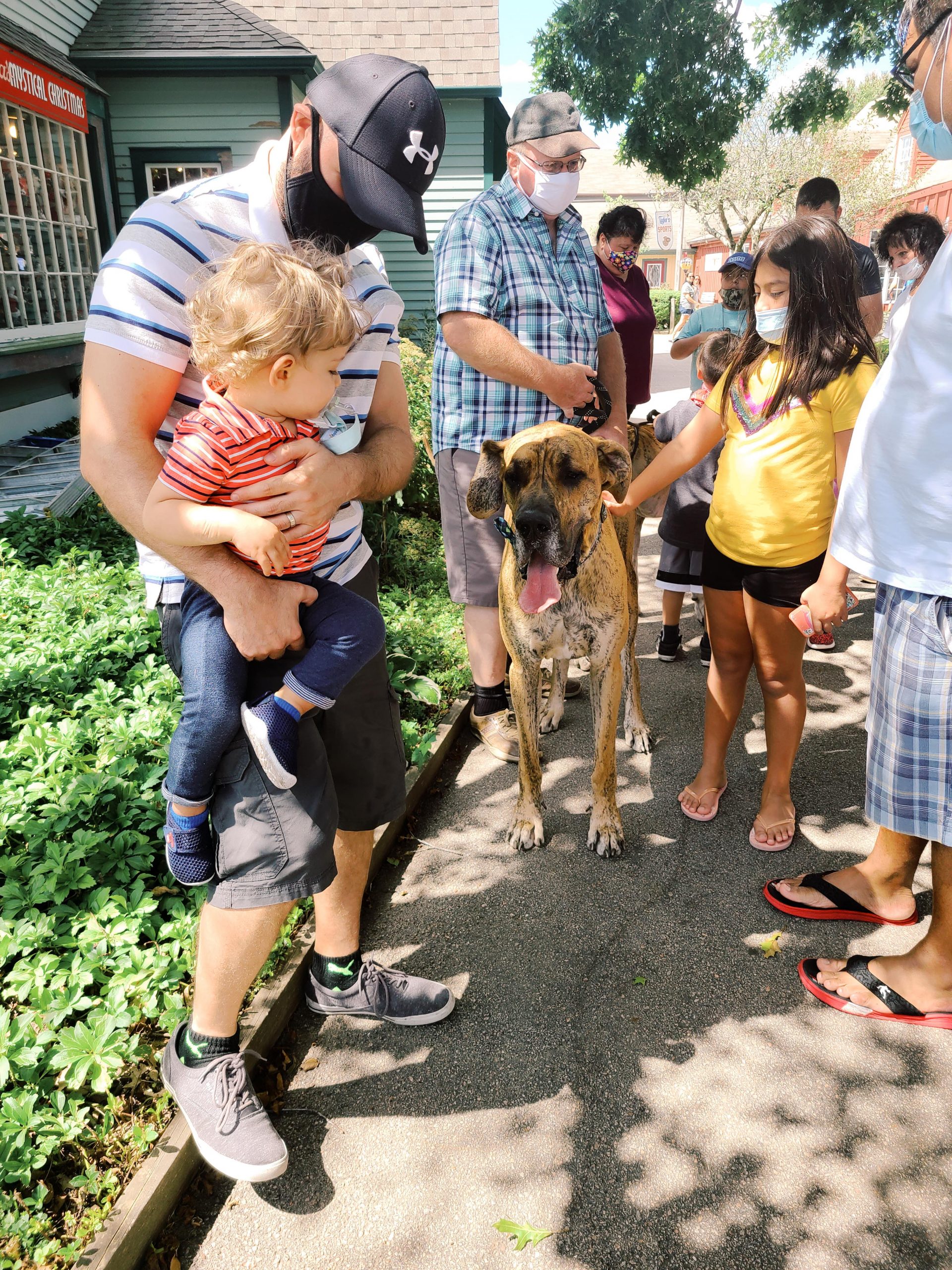 A group of people gathered around a large dog