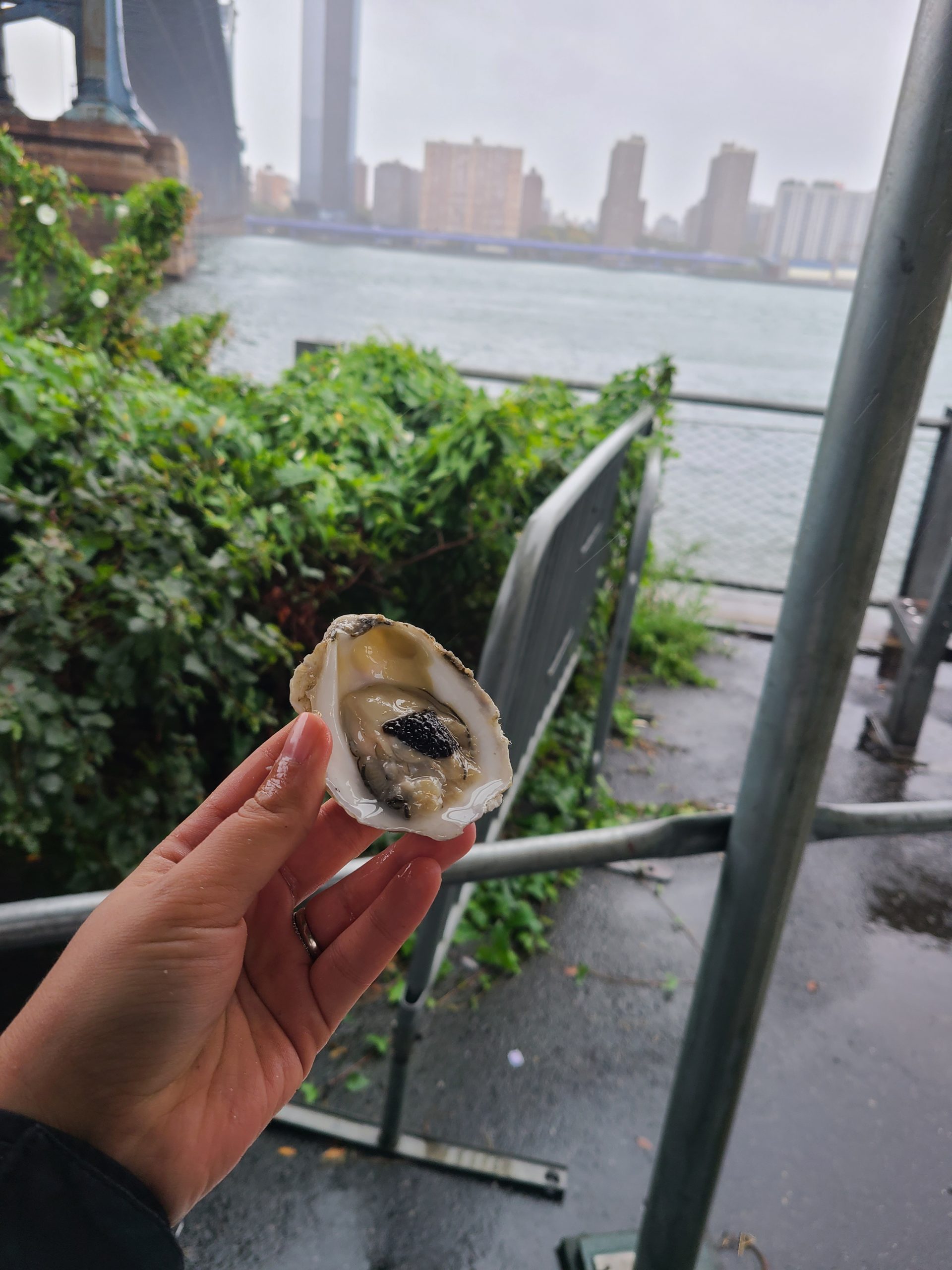A woman holds up an oyster against the back drop of New York