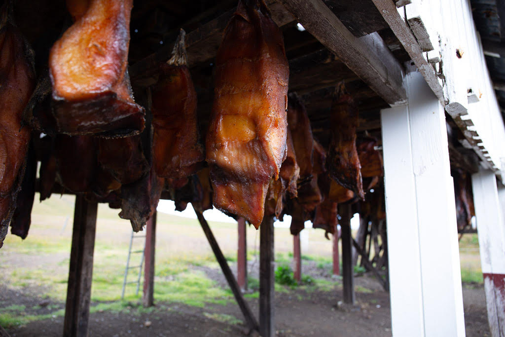 A rack of fermented shark meat, one of the most traditional Icelandic foods