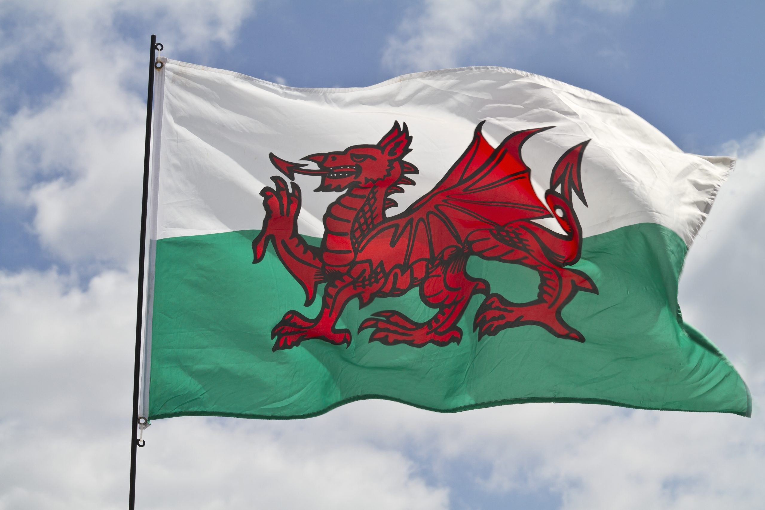 Welsh. Флаг Уэльса. Флаг Вейлс дракон. Дракон на флаге Уэльса. Валлийский дракон флаг Уэльса.