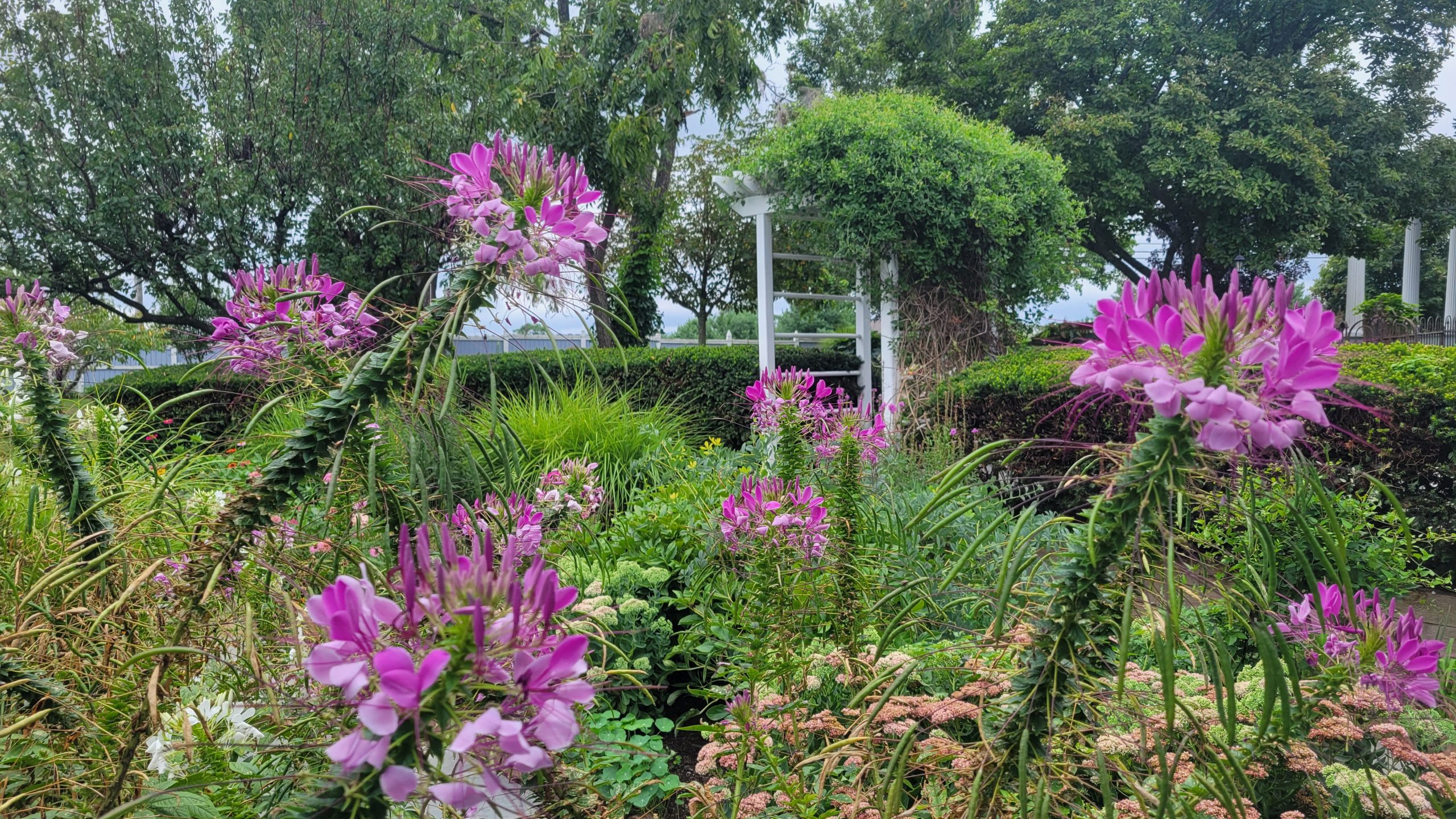 The gardens at L'Auberge Provençale