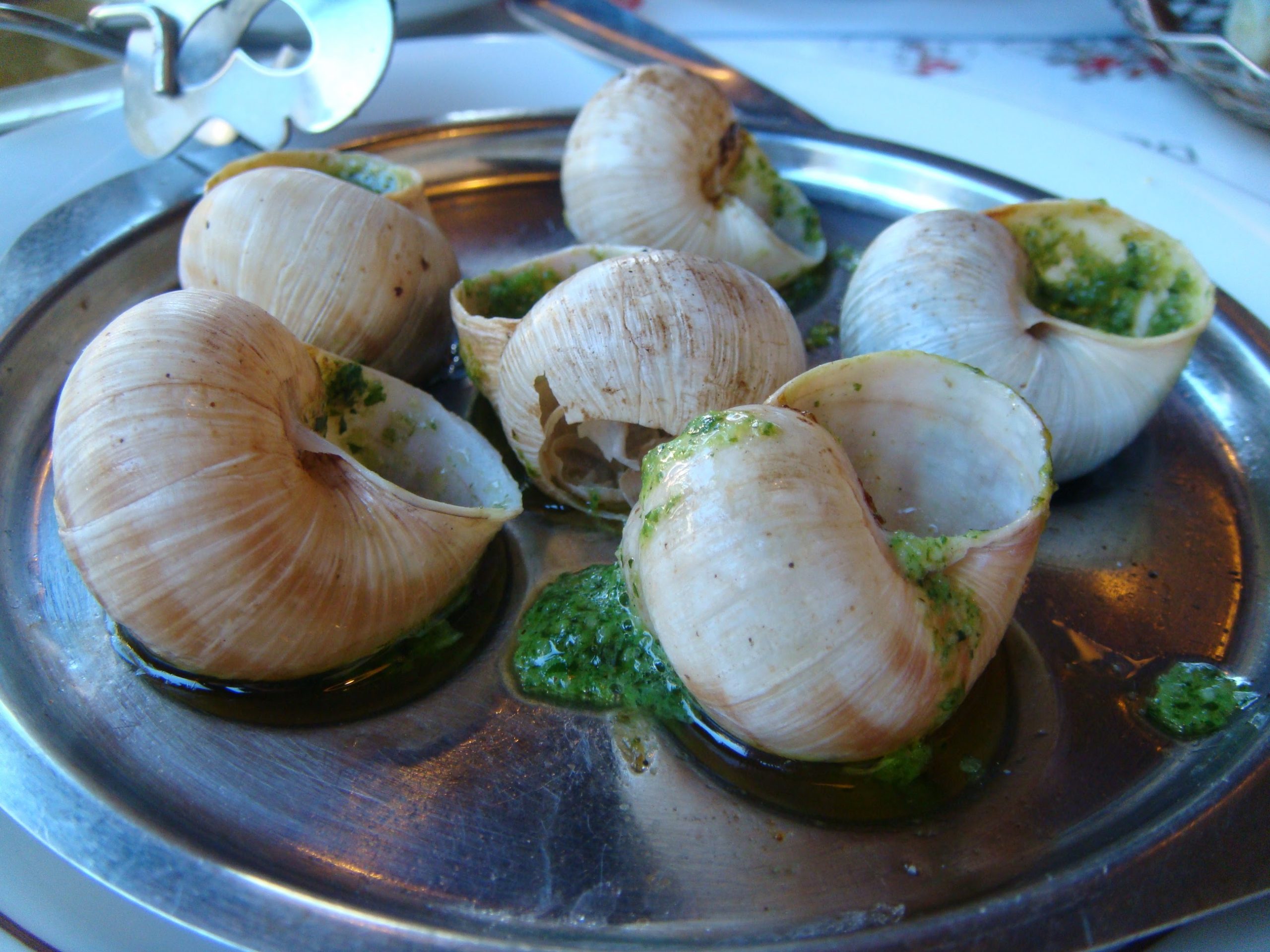 Food in Paris - escargot